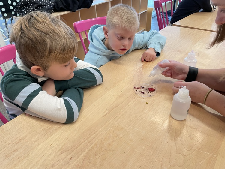 First Grade at SpectrUM