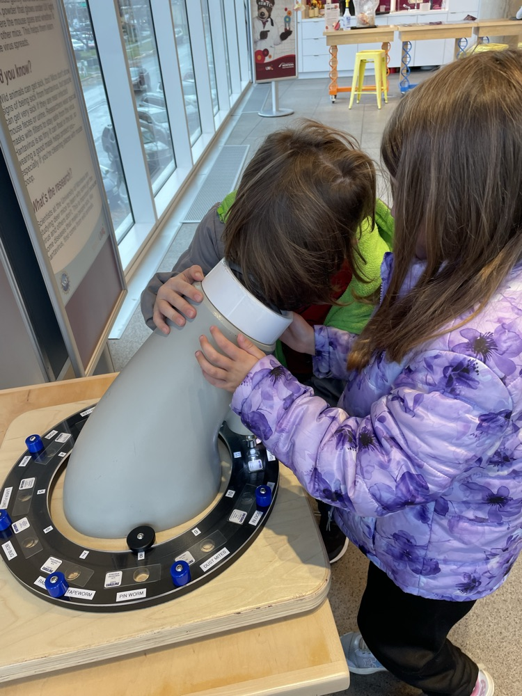 First Grade at SpectrUM