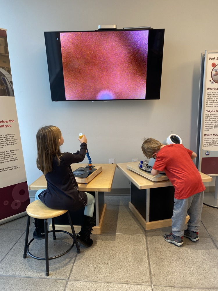 Field trip at SpectrUM