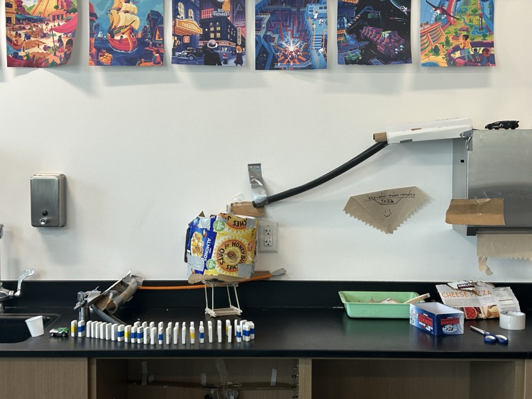 The dominoes in this Rube Goldberg machine took a long time to set up.