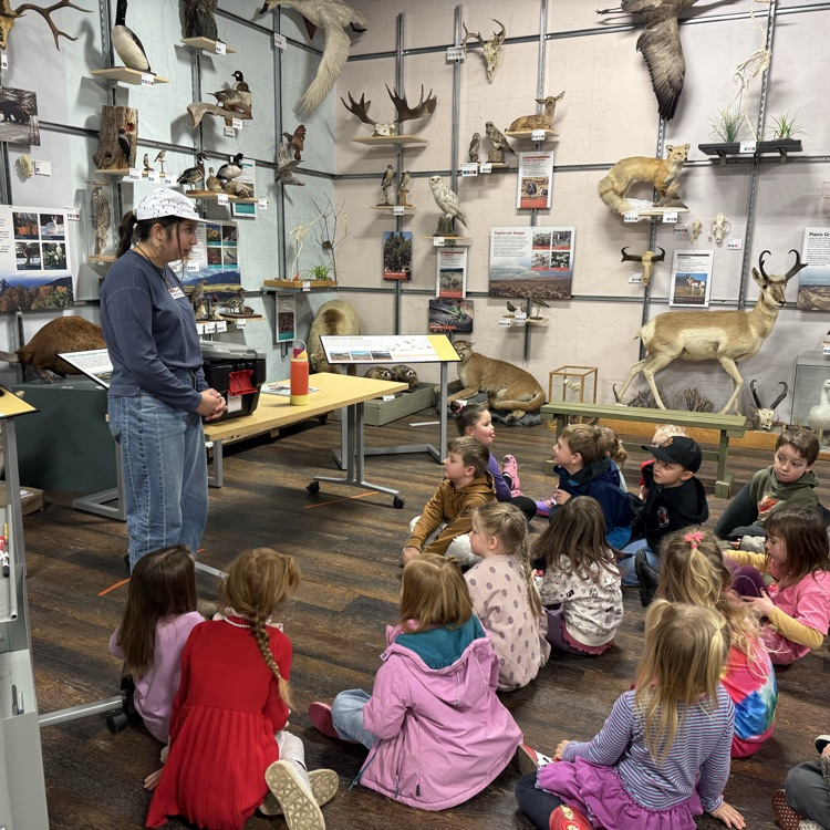 MT Natural History Museum 