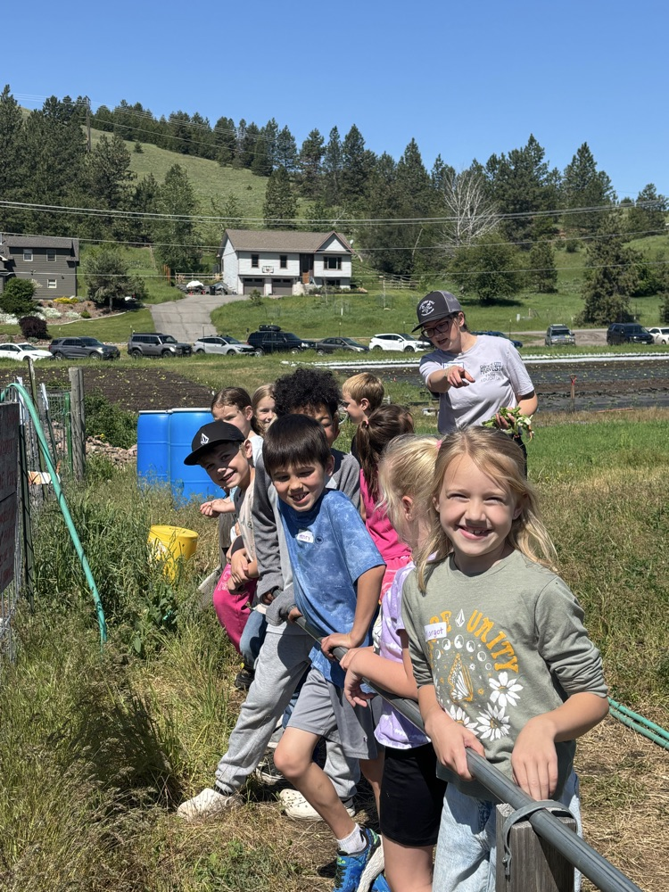 PEAS Farm