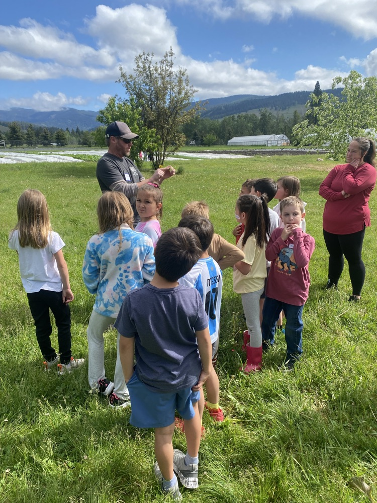 PEAS Farm