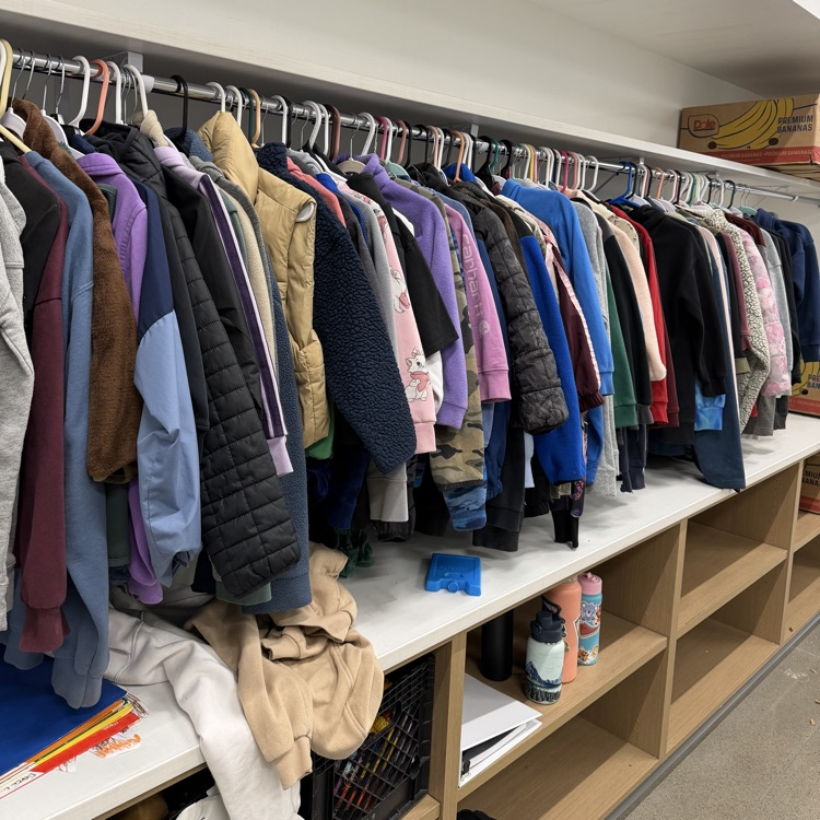 photo of over 100 found items