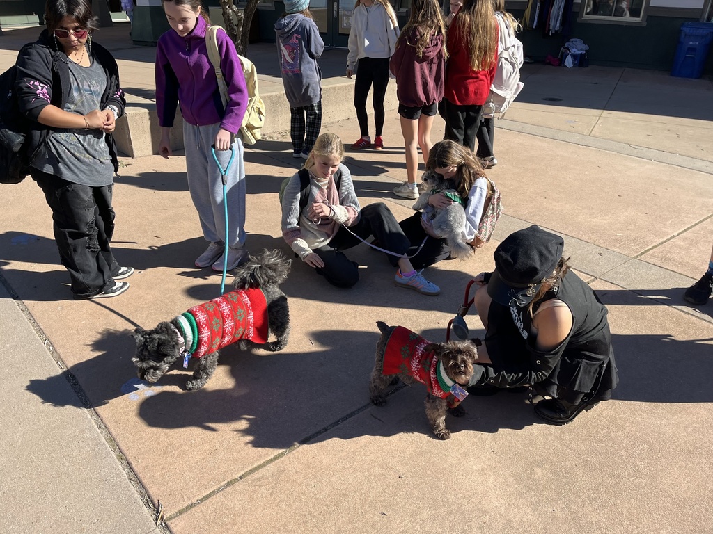2 dogs in sweaters with middle school students