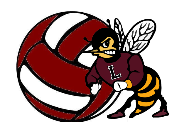 Hornet VB