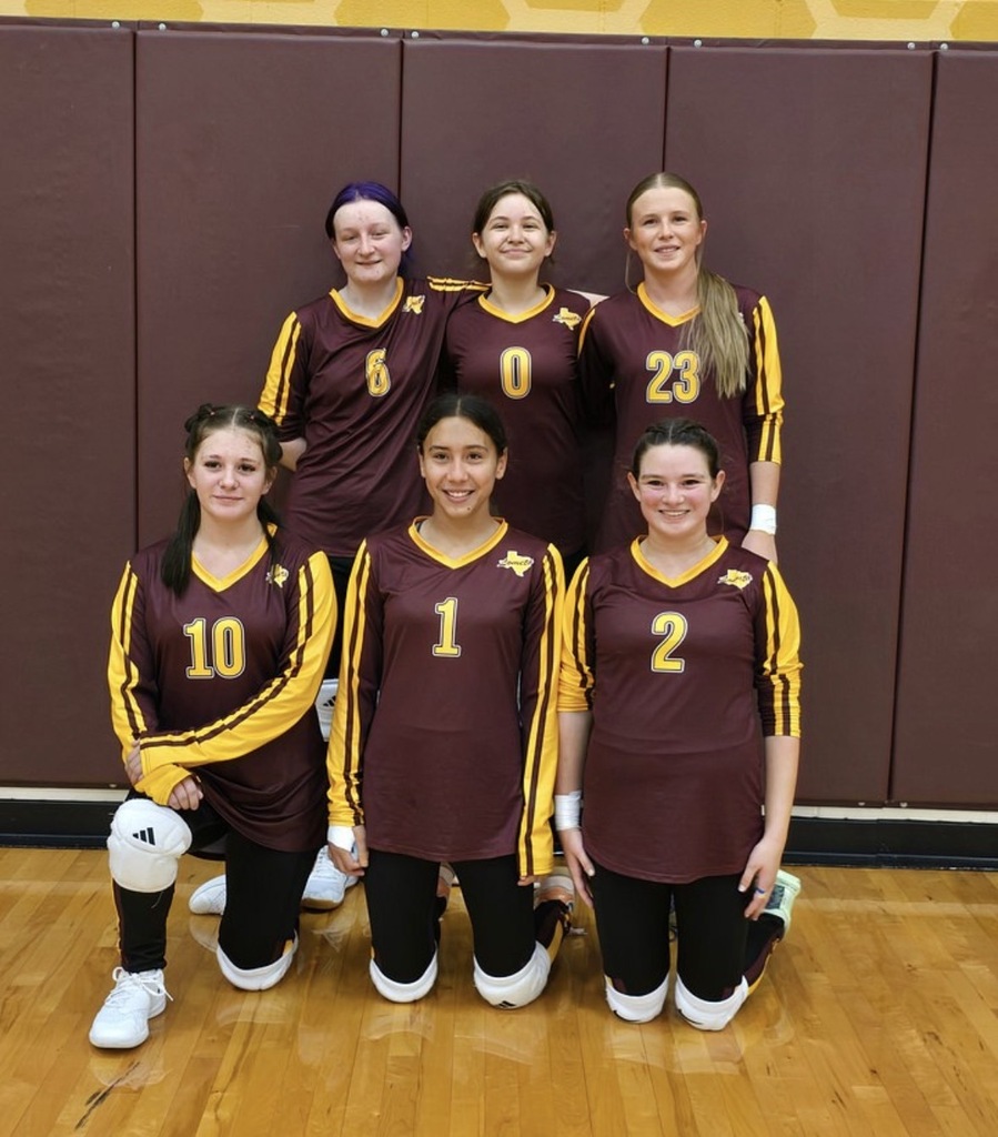 Lady Hornet Volleyball