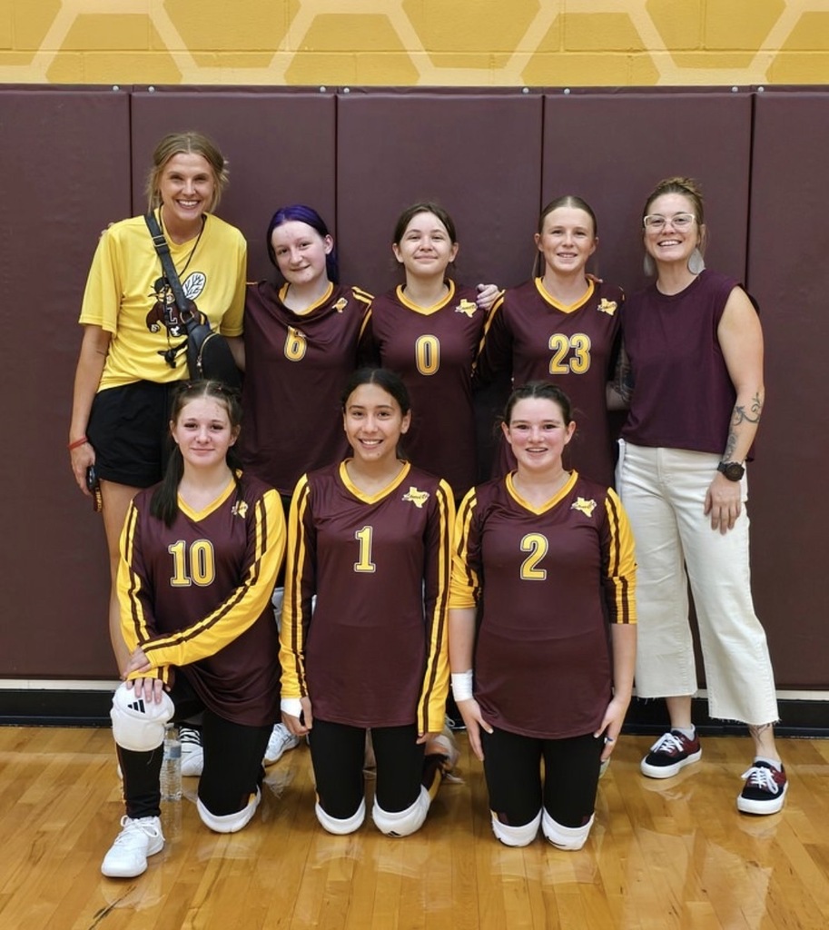 Lady Hornet Volleyball