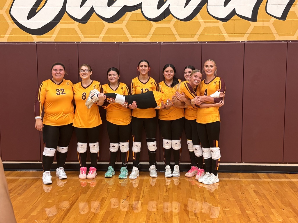 Lady Hornet Volleyball