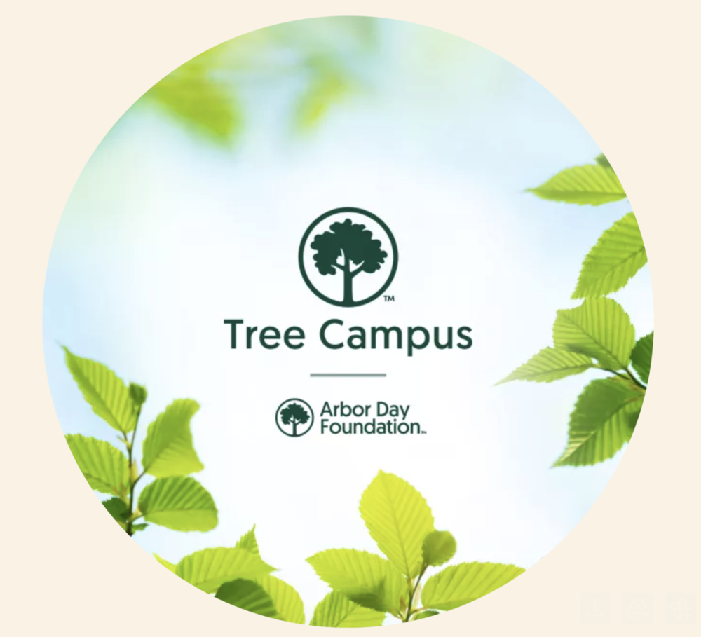 Tree campus logo