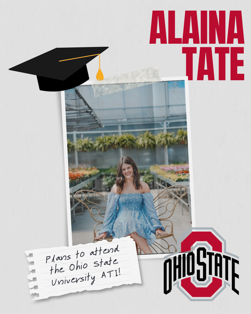 Alaina Tate