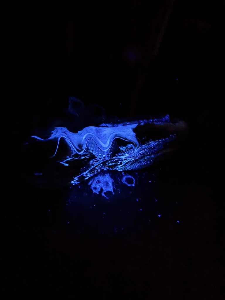csi7