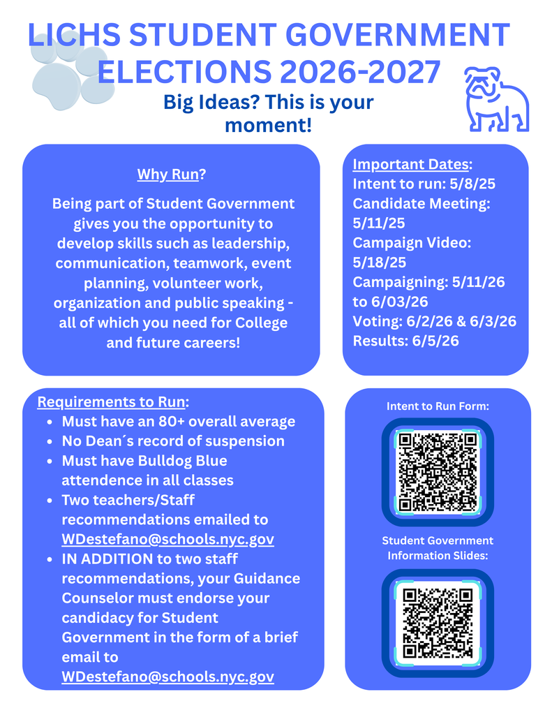 Student Government Election Flyer