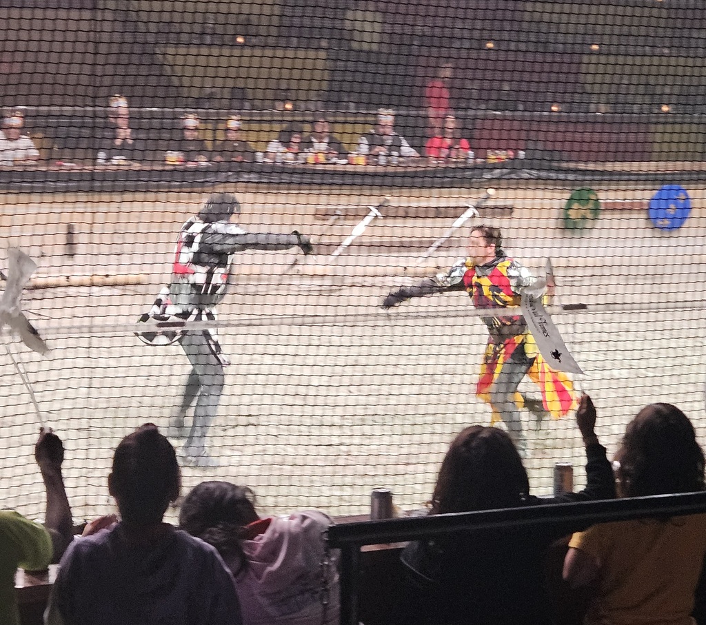 Pawsitivity Winners went to Medieval Times