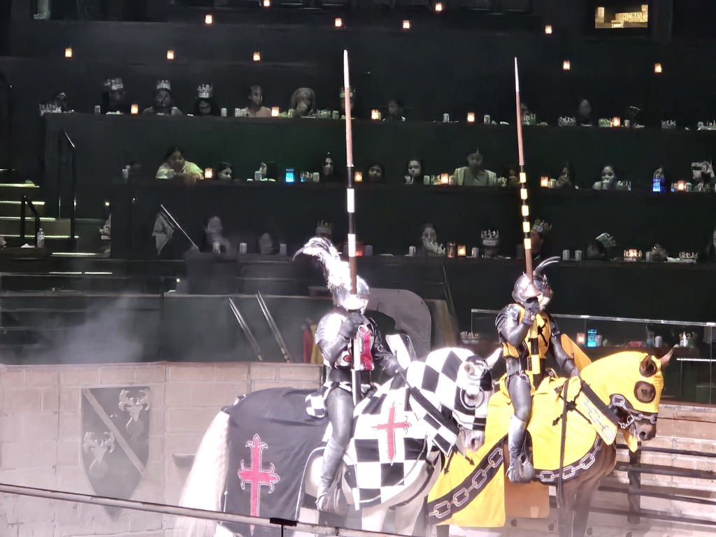Pawsitivity Winners went to Medieval Times