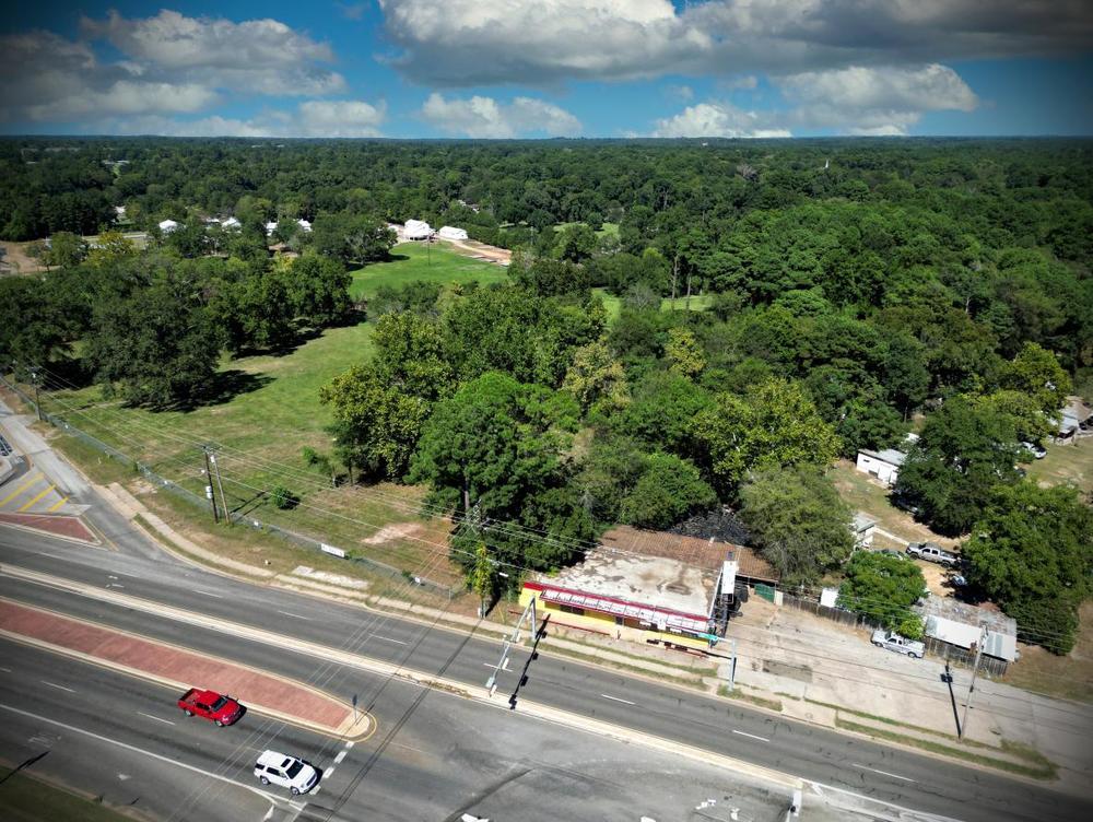 the street and trees