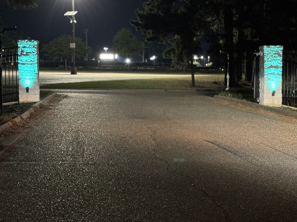 Entry View Security Fence Lighting