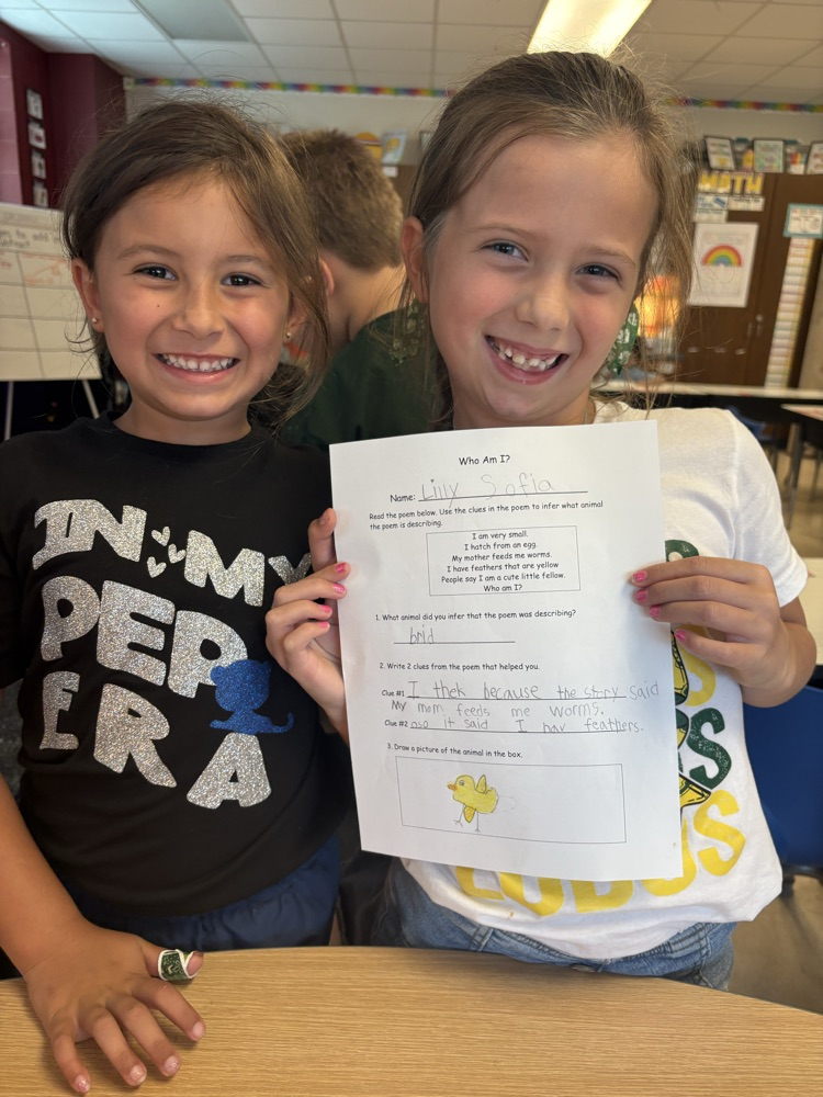 Making Inferences
