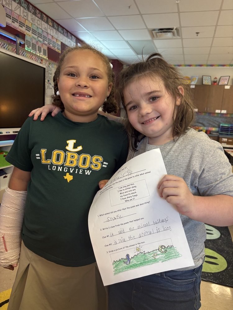 Making Inferences