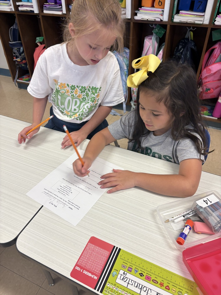 Making Inferences