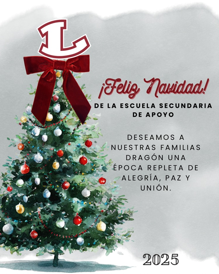 Merry Christmas FMS (ESP)