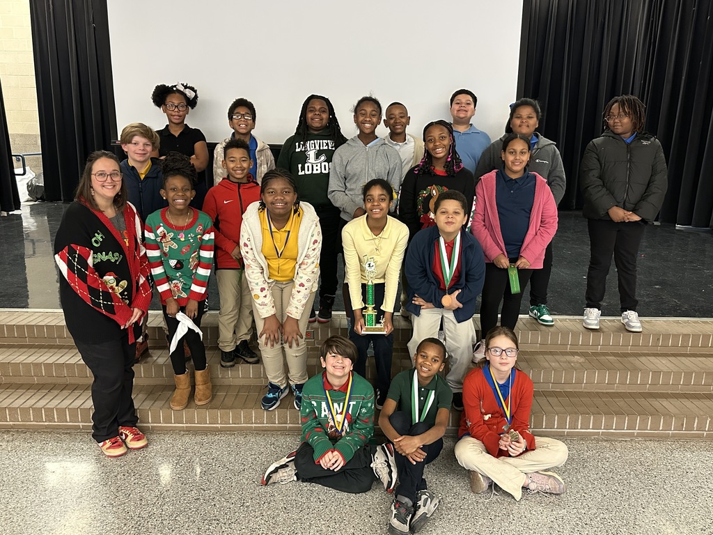 NED Science Fair winners