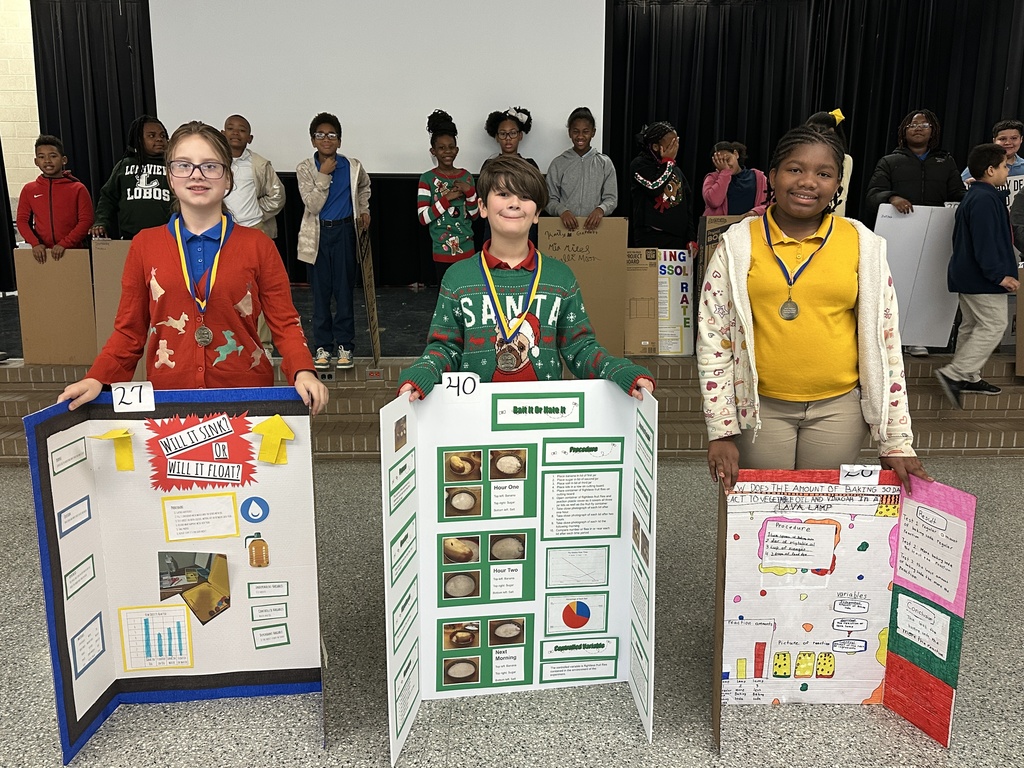 Science Fair 4th - 6th place