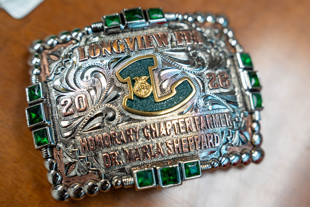 up close of buckle