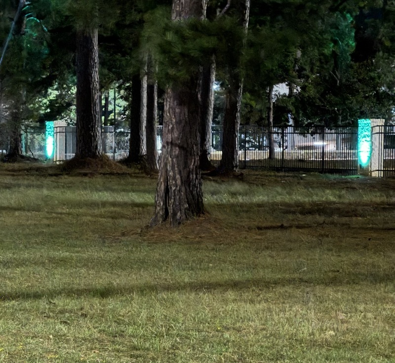 Side View Fence Lighting