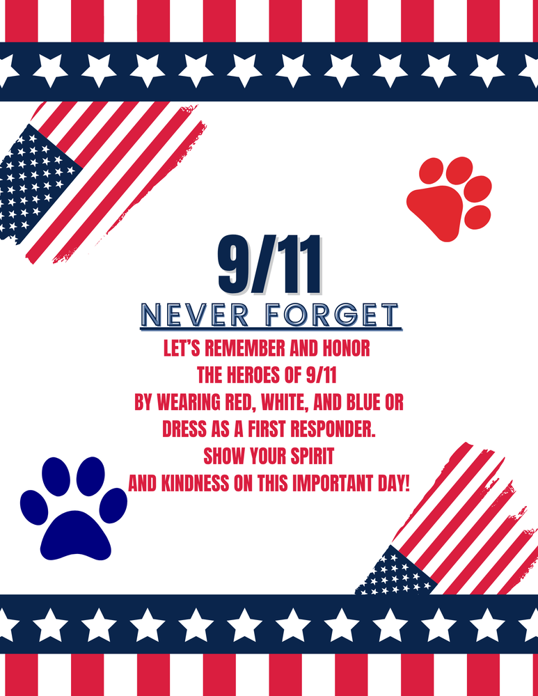 english 911