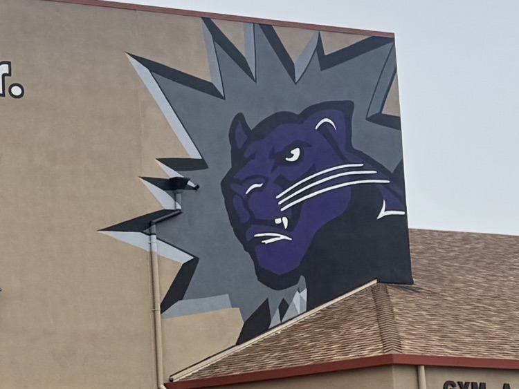 Pacheco High New Mural
