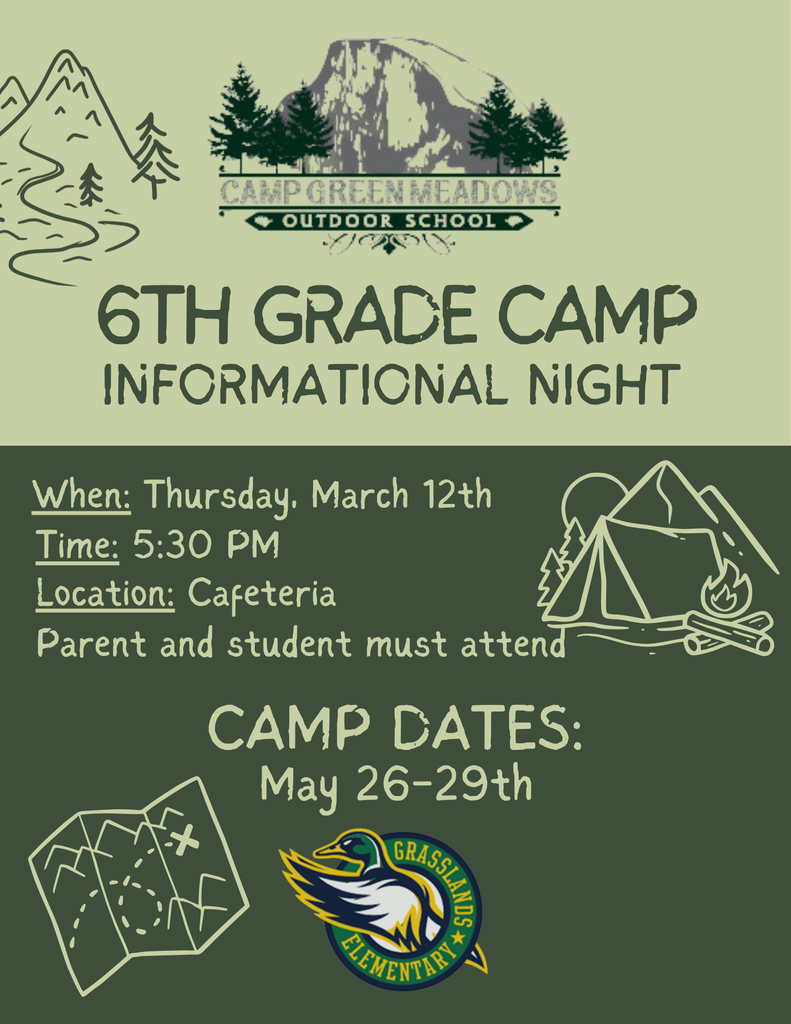 Camp Flyer (1)