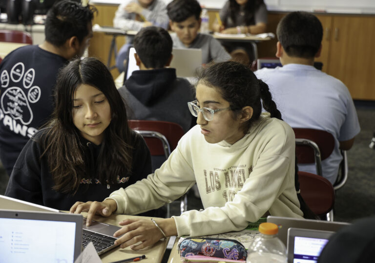 Students working together on the computer.