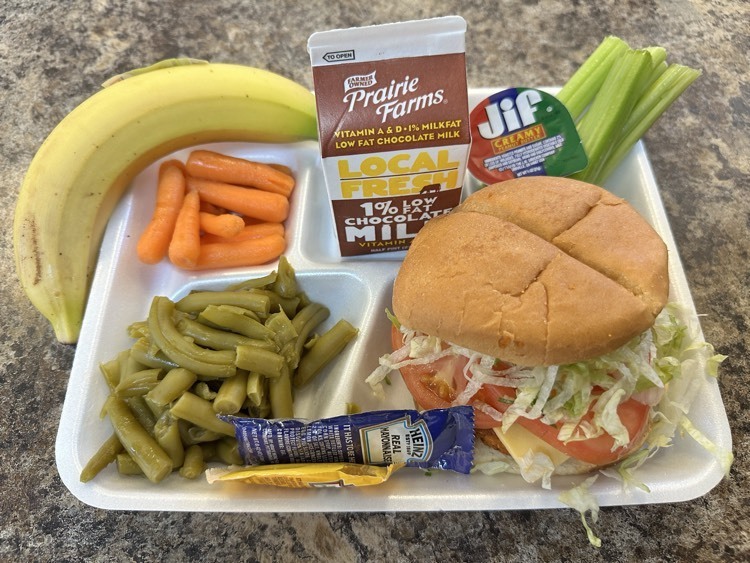 spicy chicken patty lunch