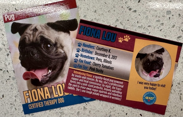 Fiona 7