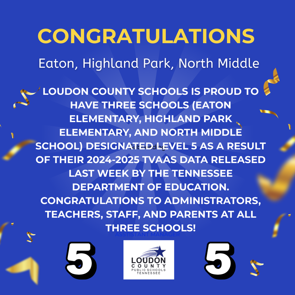 Level 5 schools
