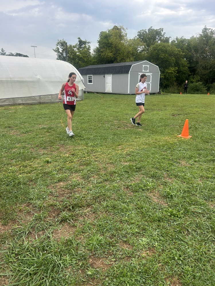 runner