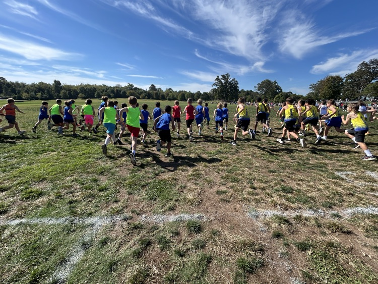 runners at start