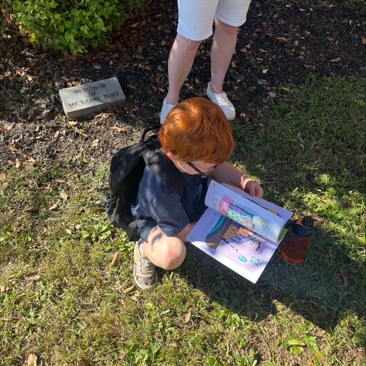 rockin reader