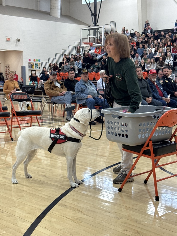 Smoky Mountain Service Dogs