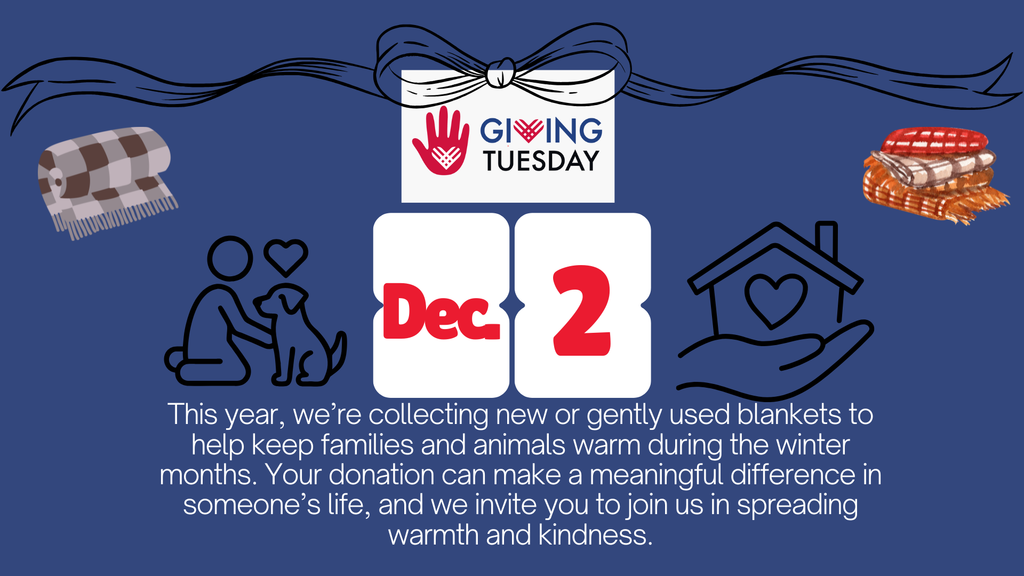 giving tuesday