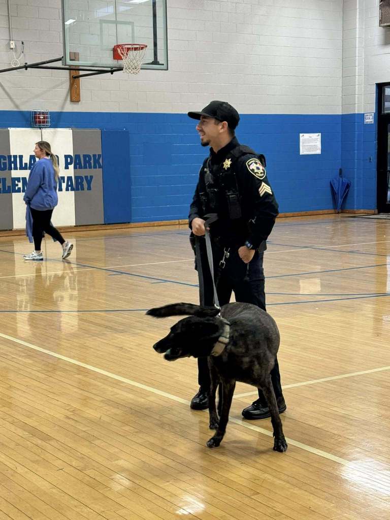 585590722_1436986768436231_8323809796381674434_n