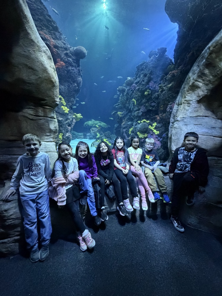students at the aquarium