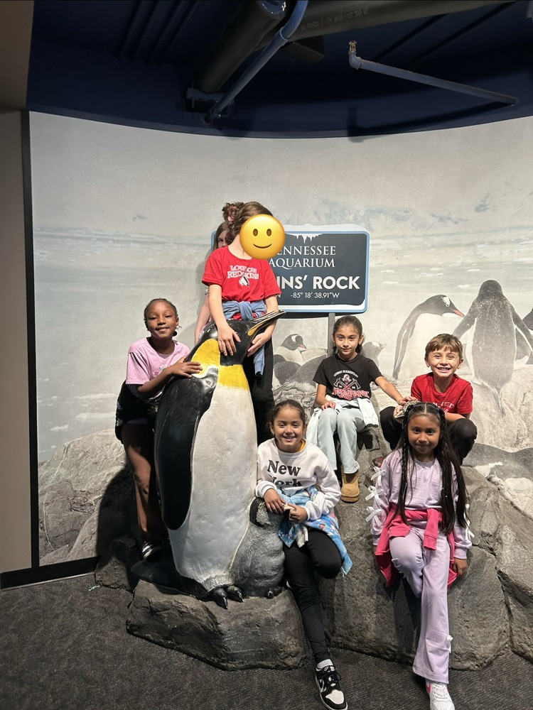 students at the aquarium with the penguins