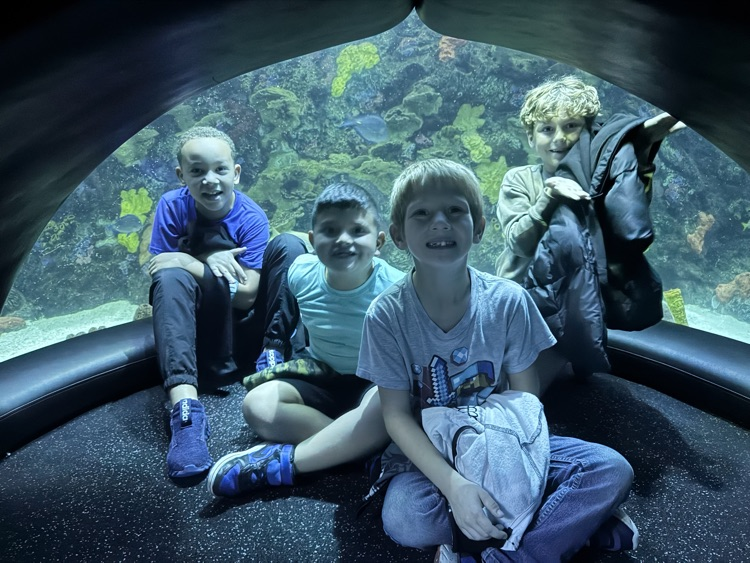 students at the aquarium
