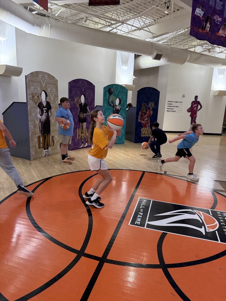 basketball basketball