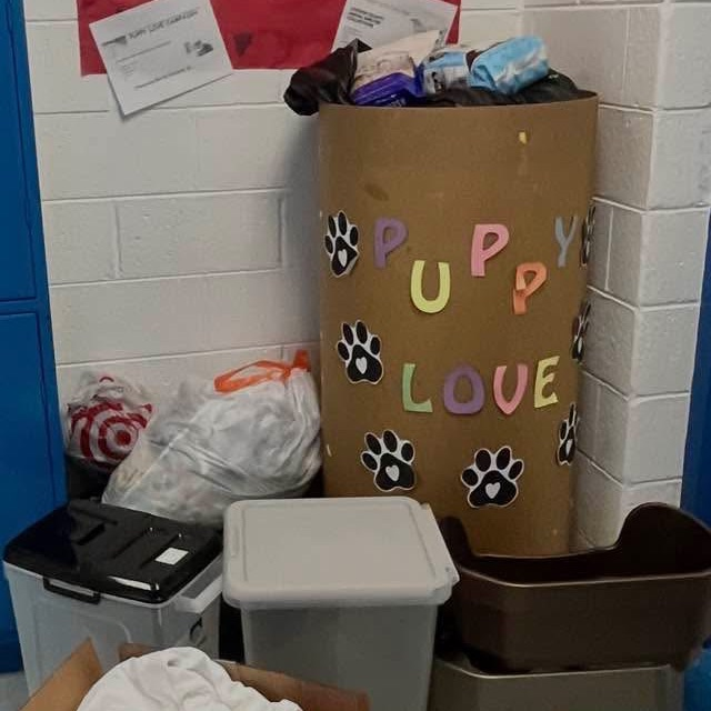 puppy love 