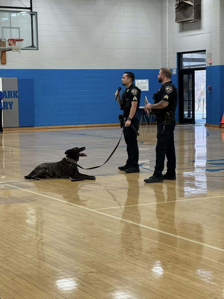 646788599_1527601762708064_1538123091487406714_n