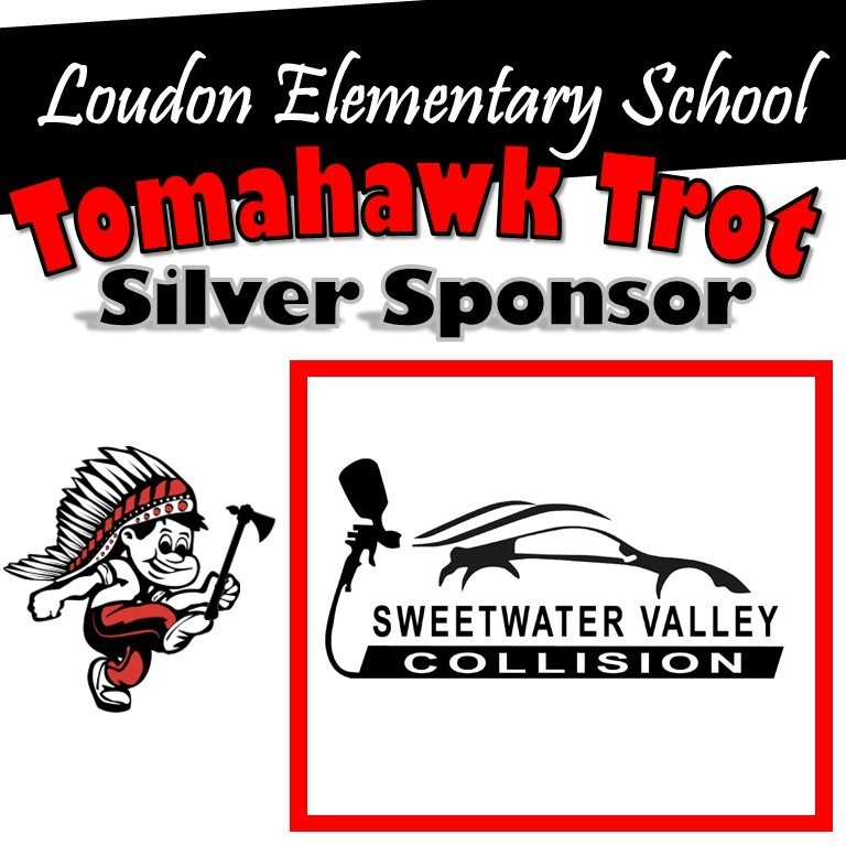 Sweetwater Valley collision - silver