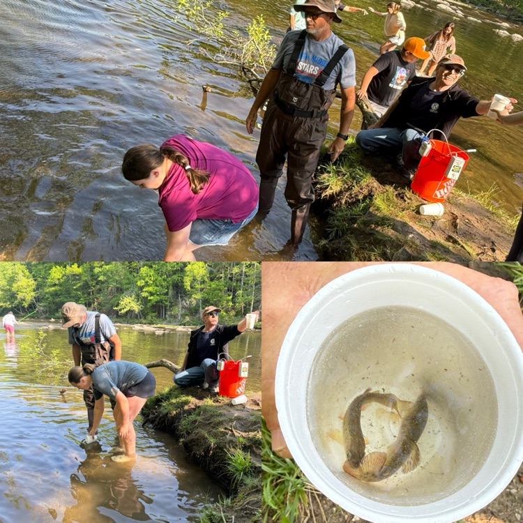 trout release field trip